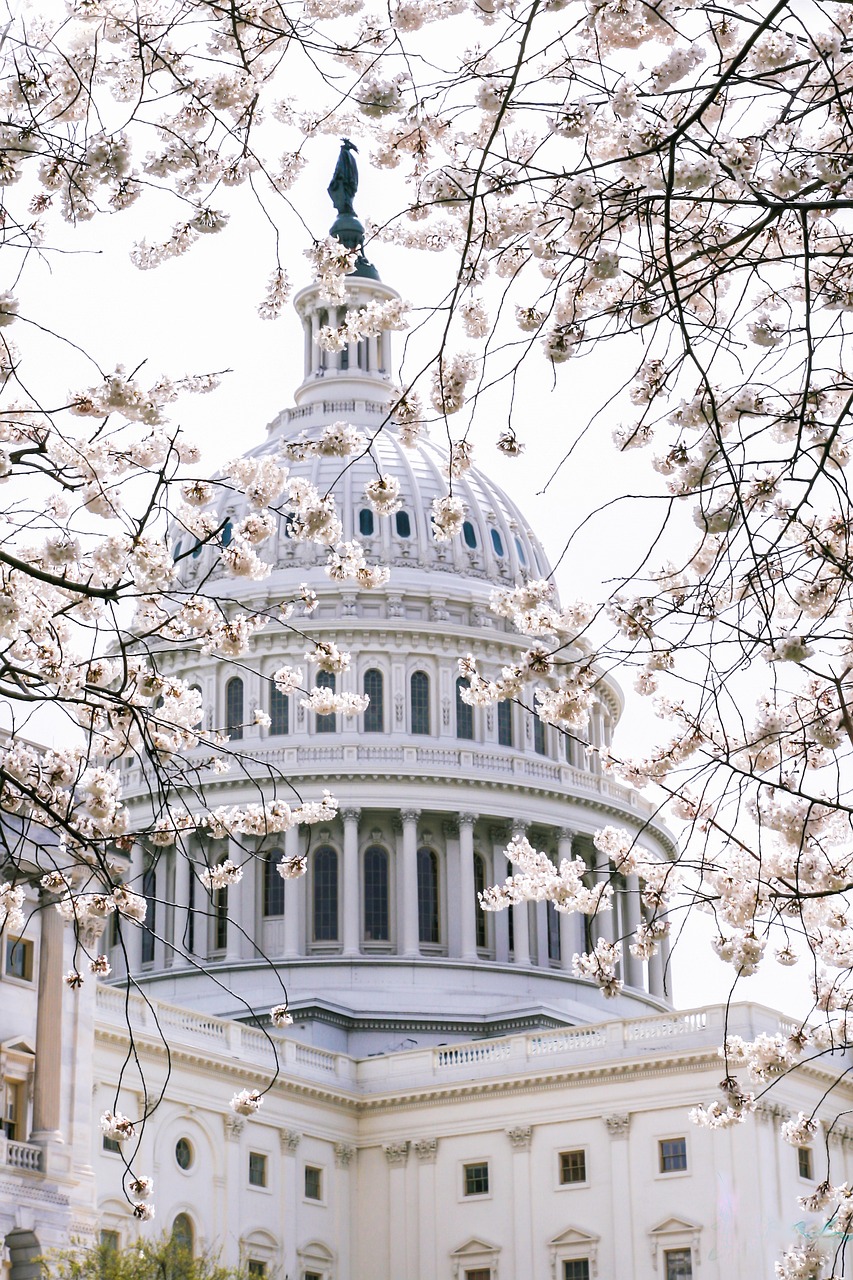 The Nation's Capitol